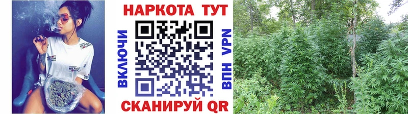 Купить Луза КОКАИН  Амфетамин  ГАШ  МЕФ  Alpha-PVP 