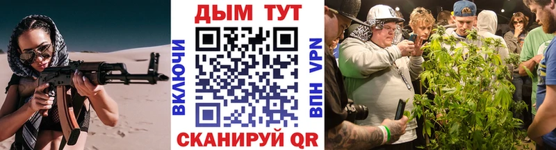 где купить наркоту  Луза  Канабис план 